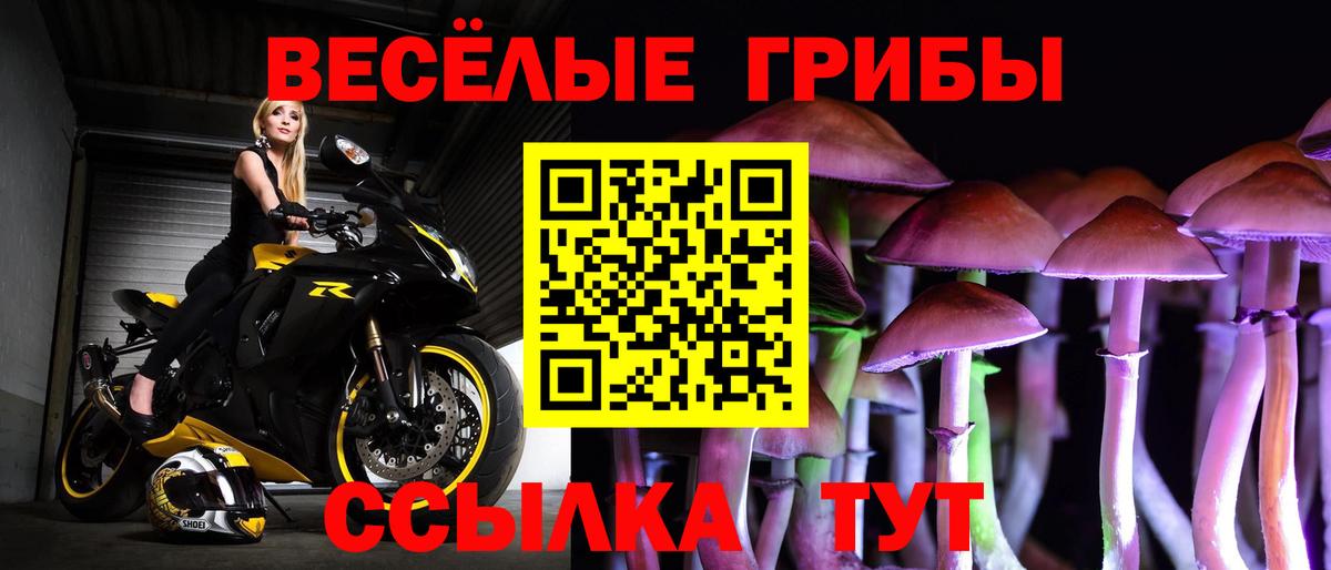 Псилоцибиновые грибы ЛСД  Вход с VPN  Соликамск 